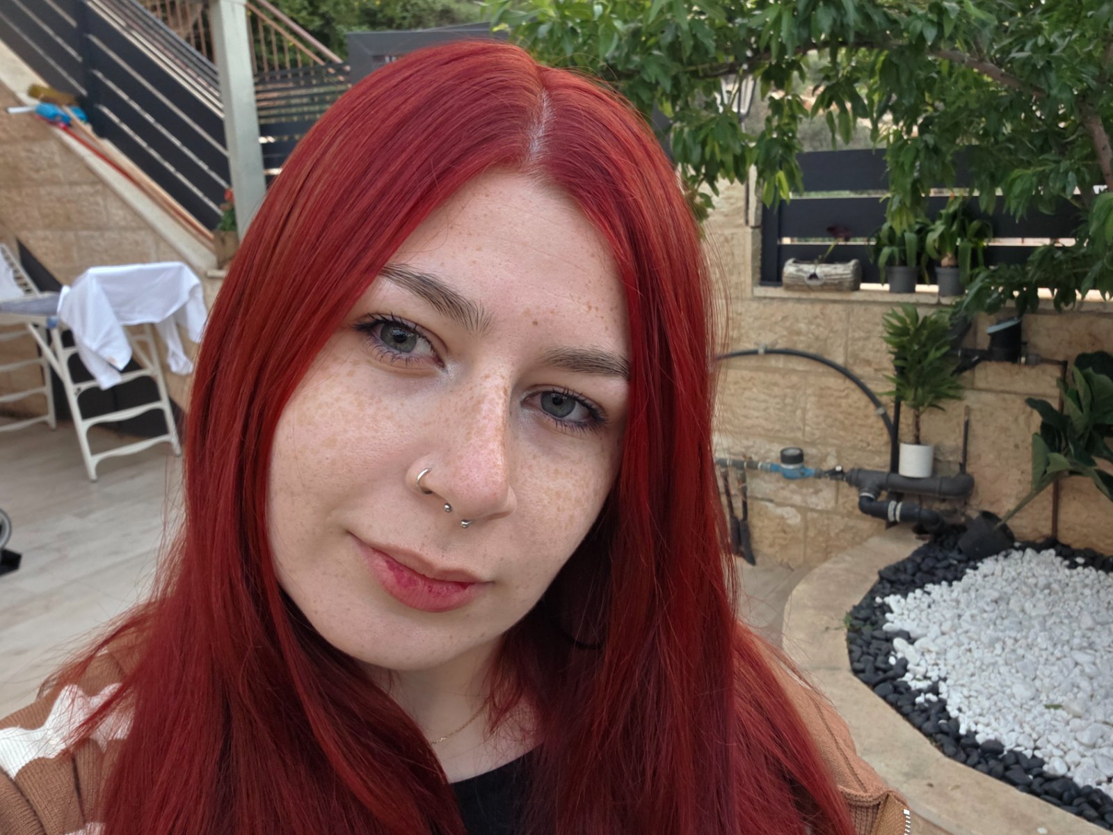 פנים של שירה