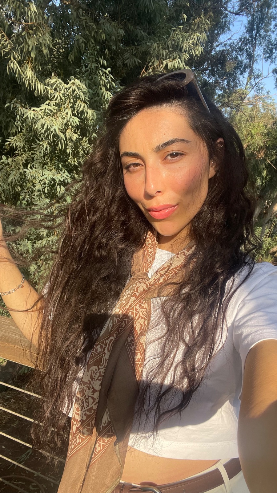 פנים של מיטל