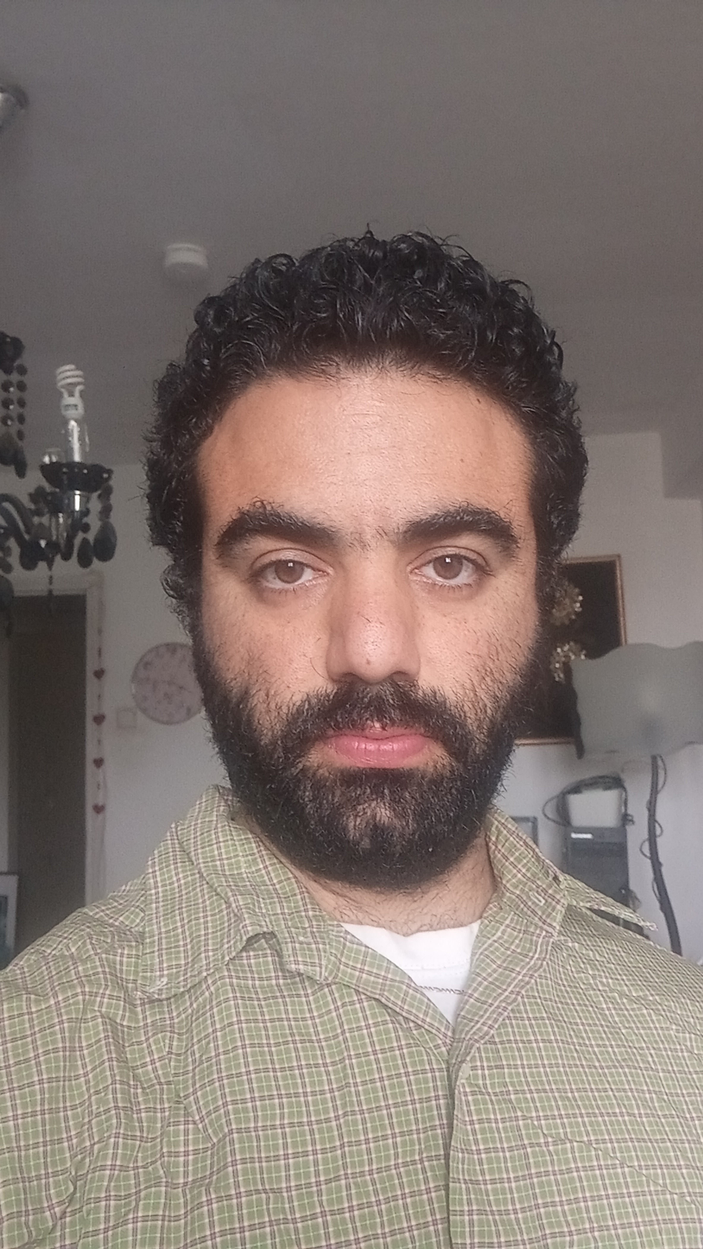 תמונה של מאור