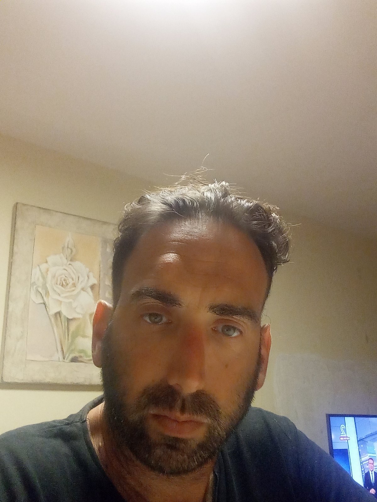 גוף של יניב