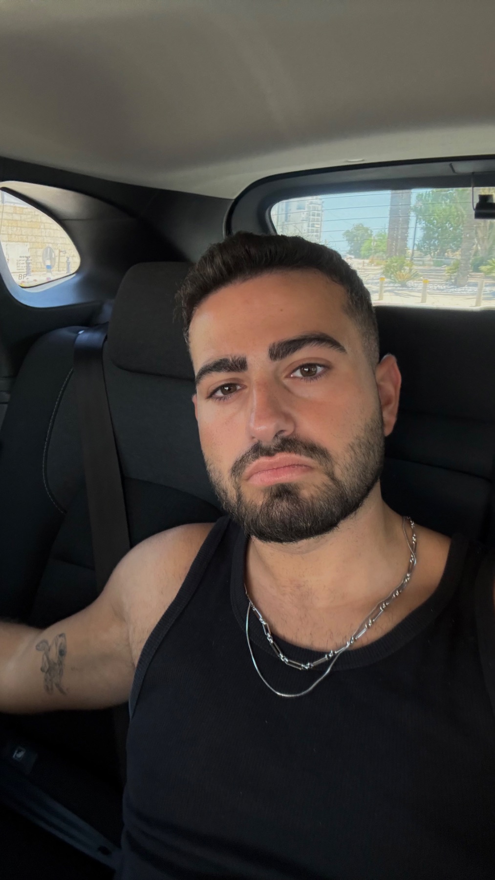 פנים של נועם