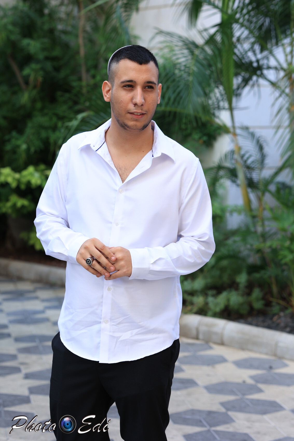 גוף של אלעד