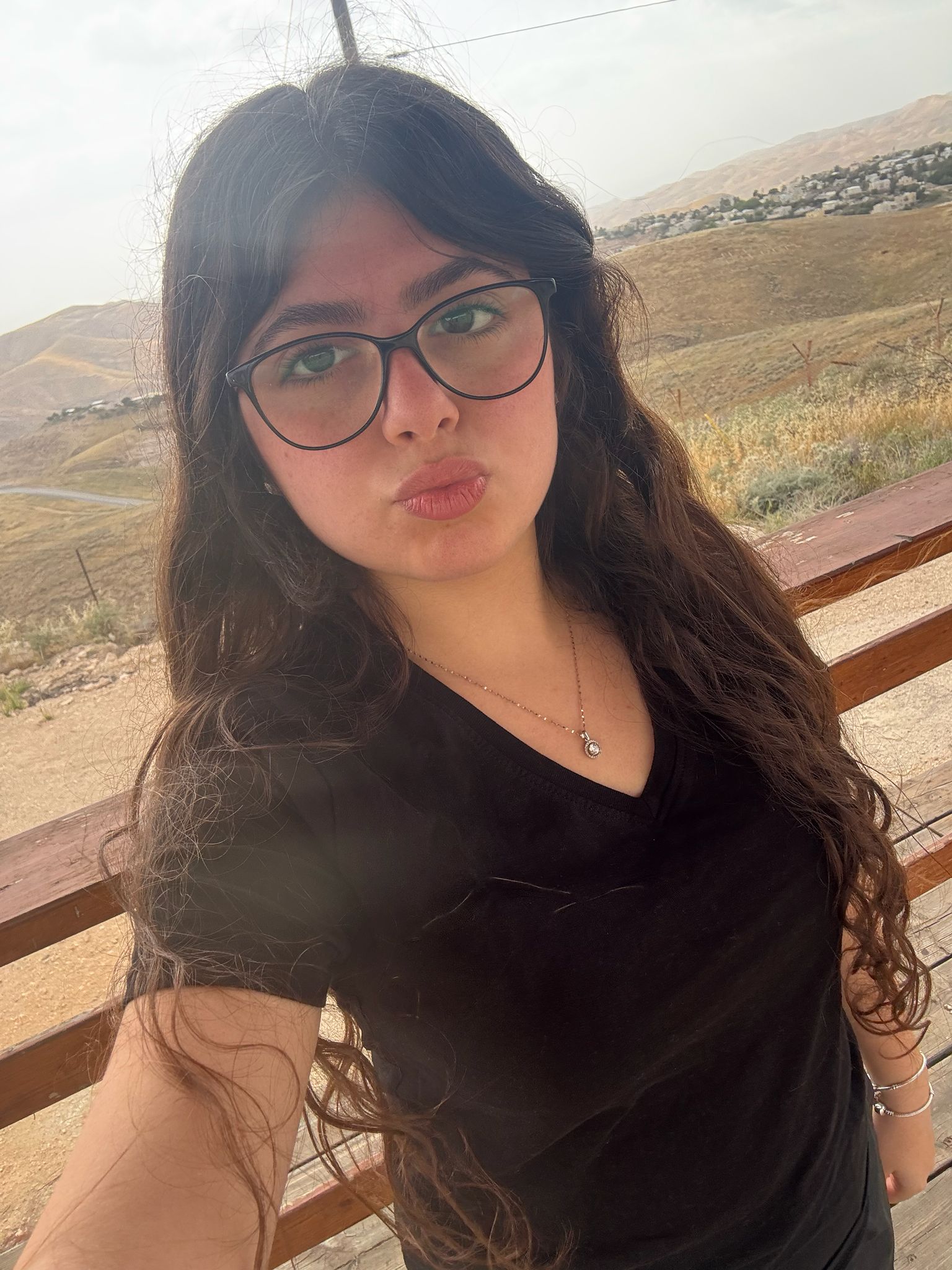 פנים של נועה